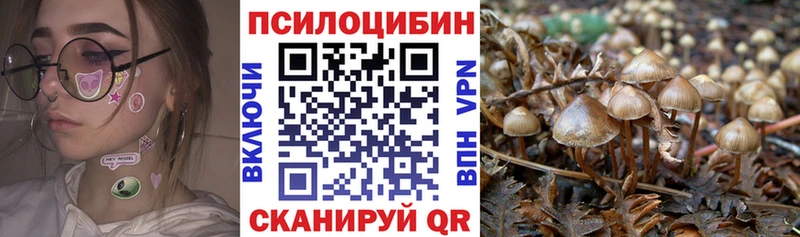 Псилоцибиновые грибы MAGIC MUSHROOMS Нариманов