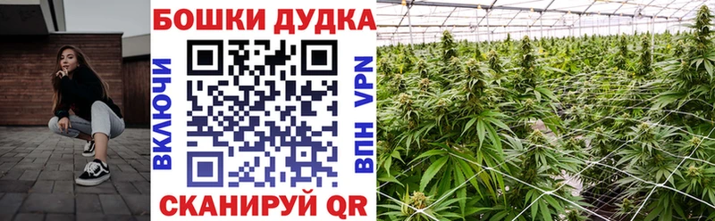 хочу наркоту  KRAKEN вход  Бошки Шишки тримм  это клад  Нариманов 